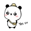 Panda Xixi .MOV 8