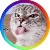 Gatitos⁂2 Movi 11