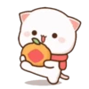 MOCHIS CAT Extra"X" MOV 11