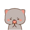 MOCHIS CAT Extra"X" MOV 12