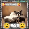 Hola!Perrito Lindo 1 Movi 13
