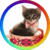 Gatitos⁂2 Movi 12