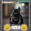 Hola!Perrito Lindo 1 Movi 14