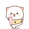 MOCHIS CAT Extra"Q" MOV 11