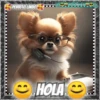 Hola!Perrito Lindo 1 Movi 15