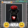 Hola!Perrito Lindo 1 Movi 16
