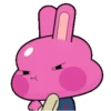 Coelho rosa 1 14