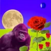 Monkeys Dancing .mov 14