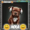 Hola!Perrito Lindo 1 Movi 18