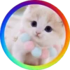 Gatitos⁂2 Movi 15