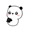 Panda Xixi .MOV 13