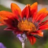 Colorea los Momentos❦1 Movi 15
