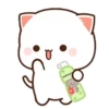 MOCHIS CAT Extra"Q" MOV 14