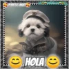 Hola!Perrito Lindo 1 Movi 19