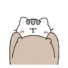 Mr. bear and his cutie cat .MOV 16