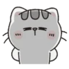 Mr. bear and his cutie cat .MOV 17