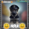 Hola!Perrito Lindo 1 Movi 20