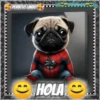 Hola!Perrito Lindo 1 Movi 21