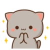 Mochi Peach Cat 10