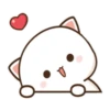 MOCHIS CAT Extra"Q" MOV 15