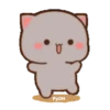 MOCHIS CAT Extra"Q" MOV 16