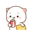 MOCHIS CAT Extra"Q" MOV 17