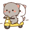 Mochi Peach Cat 11