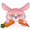 Mia Bunny 20