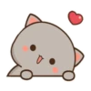 MOCHIS CAT Extra"Q" MOV 18