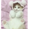 Gatitos(Cute) ❥ ︎ͫ1 Movi 25