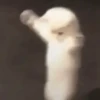 Dancing/Laugh 17