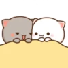 Mochi Peach Cat 15
