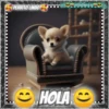 Hola!Perrito Lindo 1 Movi 22