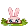 Mia Bunny 21