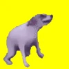 Dancing/Laugh 20