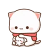MOCHIS CAT Extra"X" MOV 16