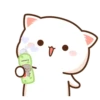 MOCHIS CAT Extra"Q" MOV 20