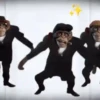 Monkeys Dancing .mov 23