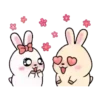 Rabbit Couple mov 26