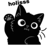 Gatito 13