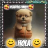 Hola!Perrito Lindo 1 Movi 24
