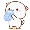 MOCHIS CAT Extra"Q" MOV 22