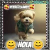 Hola!Perrito Lindo 1 Movi 26