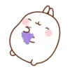 Molang Chubby Bunny 24