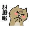 Sinko the Cat: What a Cat Wants 20