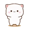 MOCHIS CAT Extra"Q" MOV 23