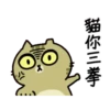 Sinko the Cat: What a Cat Wants 23