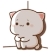 Peach & Goma Cat #4 21