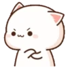 Peach & Goma Cat #4 22