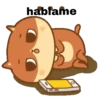 Gatito 15